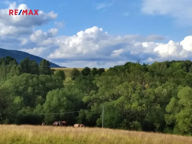 Prodej pozemku pro bydlení, Malá Morava, 1169 m2