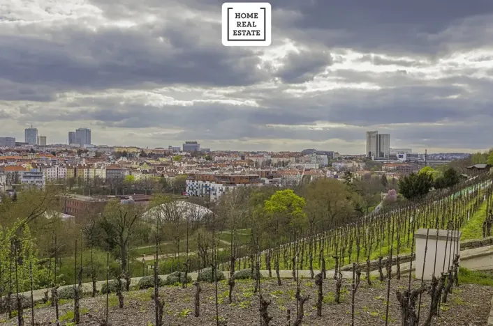 Prodej bytu 3+kk, Praha - Vršovice, Francouzská, 95 m2