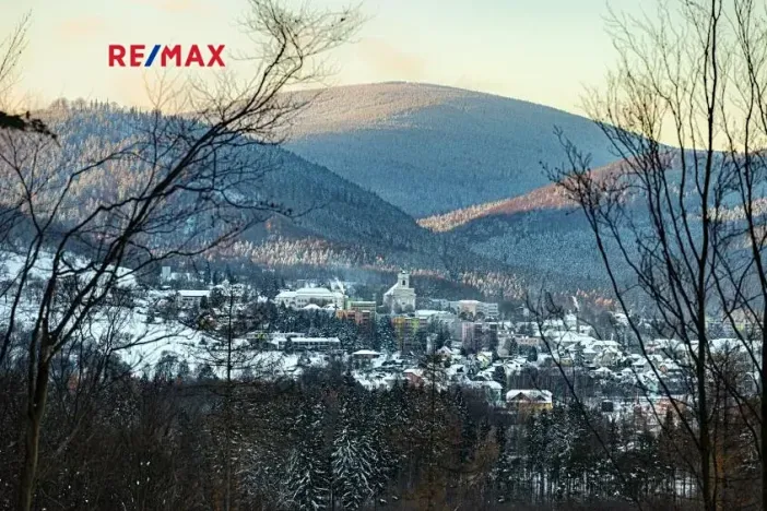 Prodej bytu 1+kk, Vrbno pod Pradědem, Žižkova, 40 m2