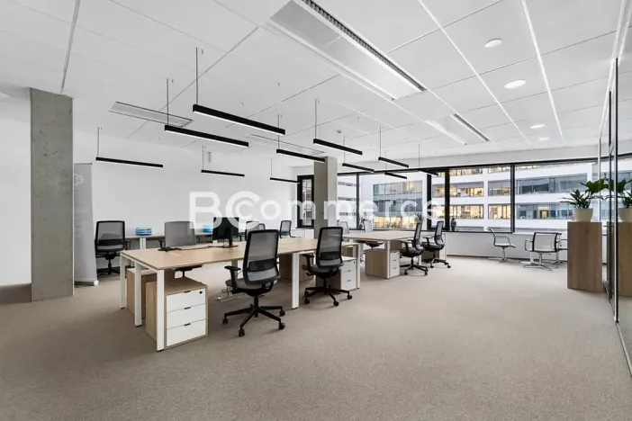 Pronájem kanceláře, Brno, 235 m2