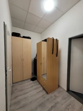 Pronájem bytu 2+kk, Brno, Vídeňská, 45 m2