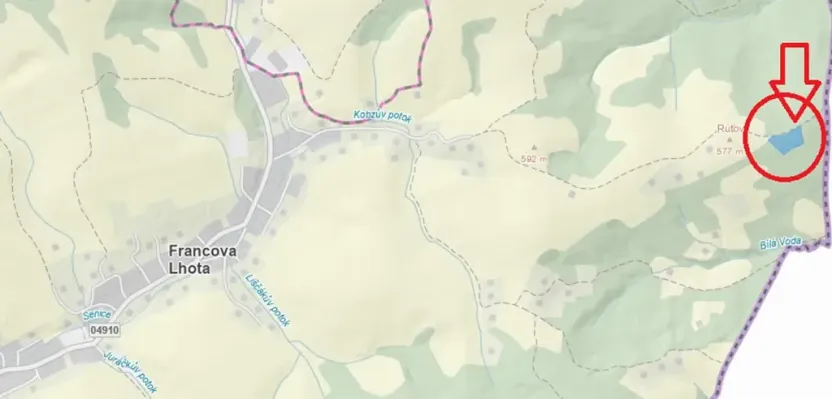 Prodej podílu lesa, Francova Lhota, 1929 m2