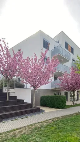 Pronájem bytu 2+kk, Praha - Hloubětín, Krylovecká, 55 m2