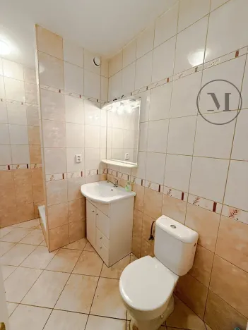 Pronájem výrobních prostor, Lišov, Miletínská, 1000 m2