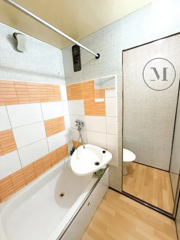 Pronájem výrobních prostor, Lišov, Miletínská, 1000 m2