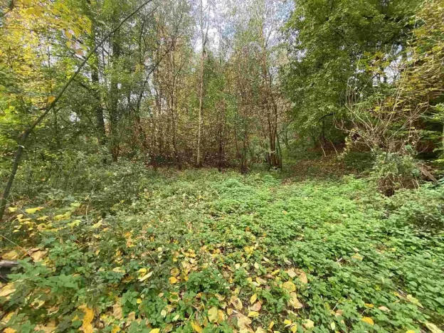 Prodej pozemku, Svijany, 1003 m2