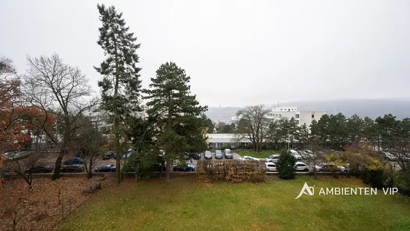 Prodej bytu 6+kk a větší, Brno, 171 m2