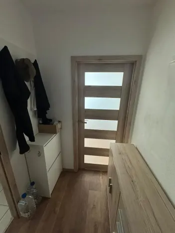 Pronájem bytu 1+kk, Brno, Dřevařská, 40 m2