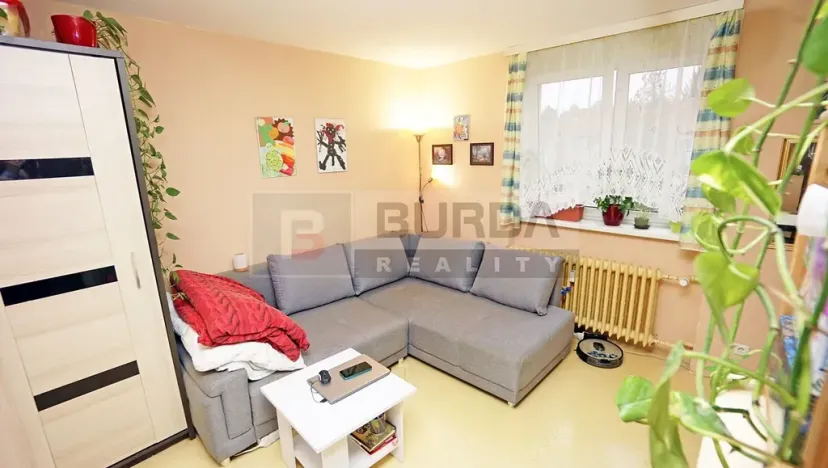 Pronájem bytu 1+1, Neratovice, 28 m2