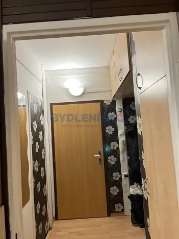 Pronájem bytu 1+1, České Budějovice, Prachatická, 31 m2