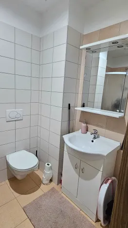 Pronájem bytu 1+kk, Velké Meziříčí, Školní, 29 m2