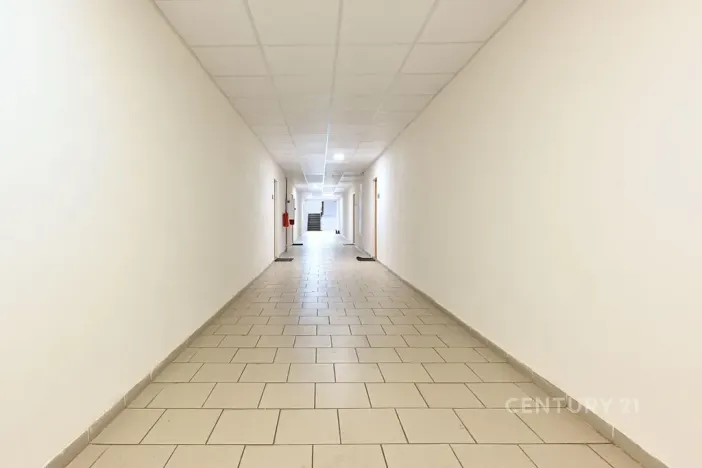 Pronájem bytu 1+1, Most, Antonína Dvořáka, 29 m2