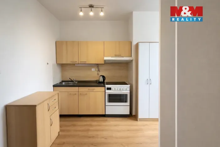 Prodej bytu 1+1, Písek - Budějovické Předměstí, Budějovická, 55 m2