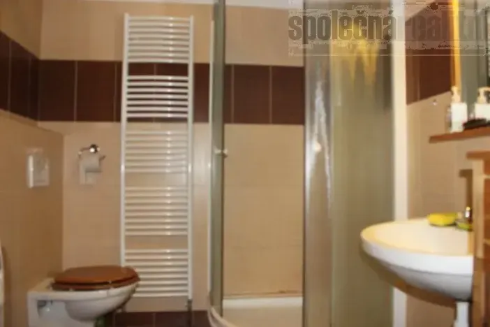 Pronájem bytu 1+kk, Mníšek pod Brdy, Skalecká, 53 m2