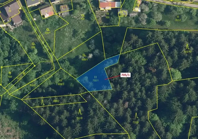 Dražba louky, Zlatá Olešnice, 438 m2