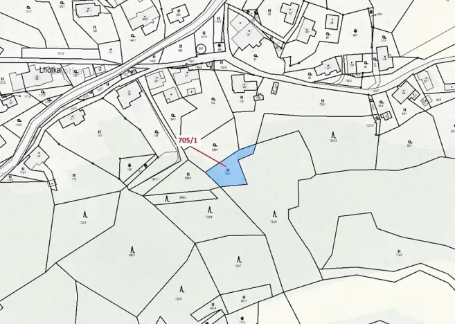 Dražba louky, Zlatá Olešnice, 438 m2