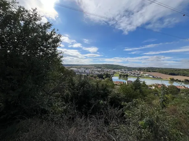 Dražba pozemku pro bydlení, Popůvky, 3239 m2