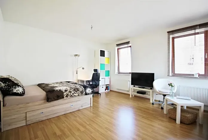Pronájem bytu 1+kk, Brno, Křídlovická, 31 m2