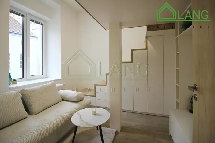 Pronájem bytu 1+1, Brno, Koliště, 24 m2