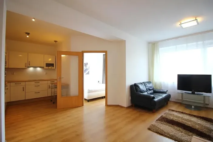 Pronájem bytu 2+kk, Brno, Purkyňova, 60 m2