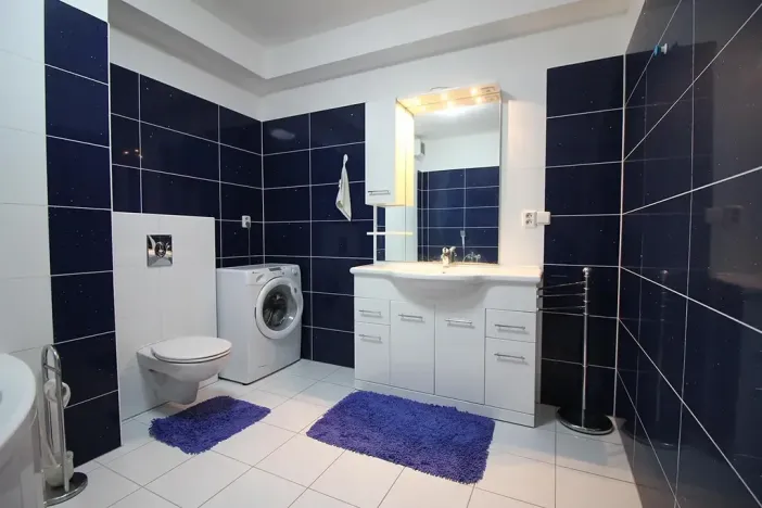 Pronájem bytu 2+kk, Brno, Purkyňova, 60 m2