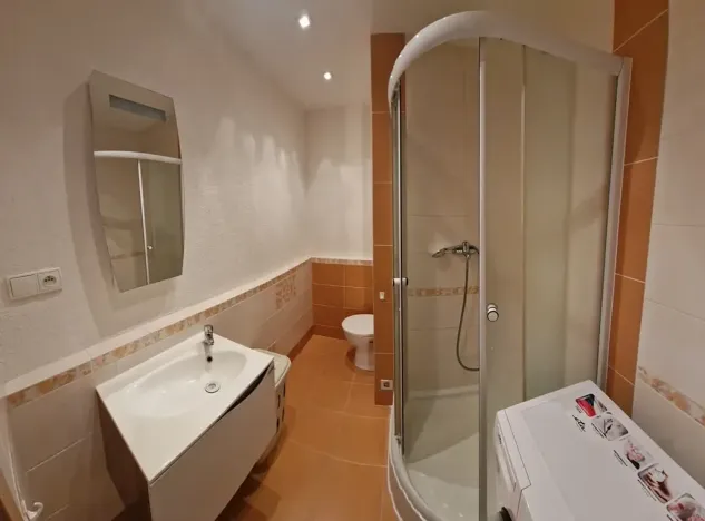 Pronájem bytu 1+kk, Plzeň, Jesenická, 32 m2