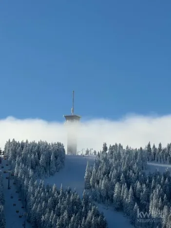 Prodej rodinného domu, Loučná pod Klínovcem, 486 m2