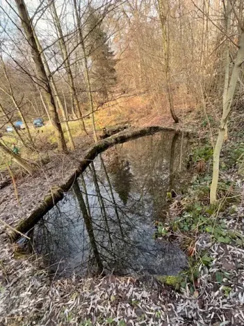 Pronájem rodinného domu, Velký Újezd, 80 m2