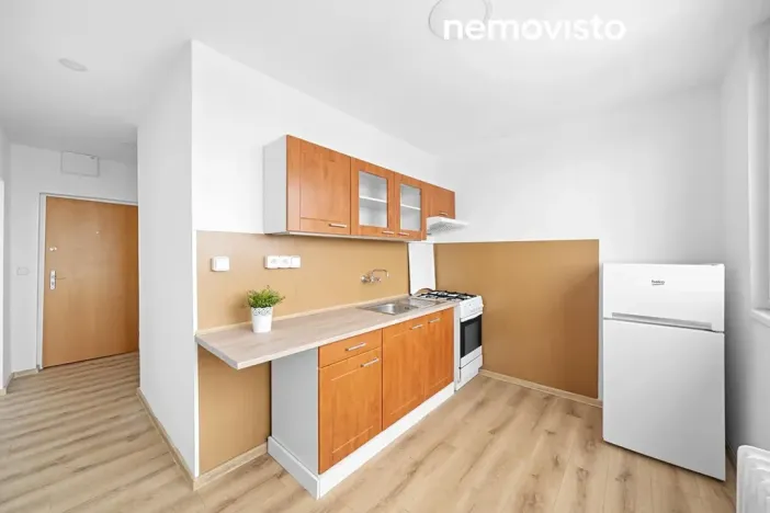 Pronájem bytu 1+1, Ostrava, Bohumínská, 35 m2