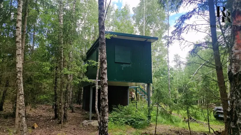 Prodej lesa, Hlubočky, 6680 m2