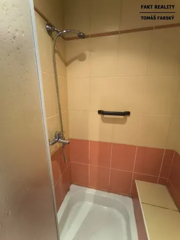 Pronájem bytu 1+kk, Děčín, Želenická, 25 m2