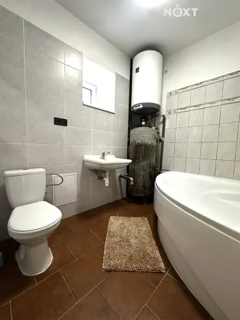 Pronájem bytu 4+kk, Plchov, 120 m2