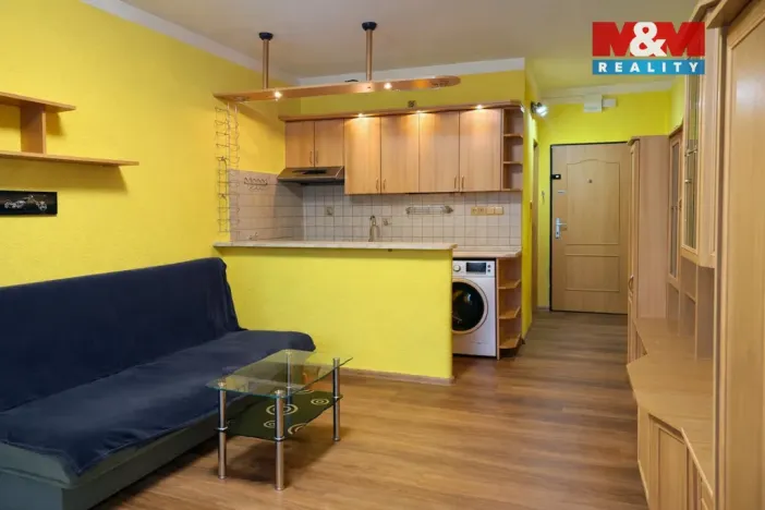 Pronájem bytu 1+kk, Strakonice - Přední Ptákovice, Šumavská, 25 m2