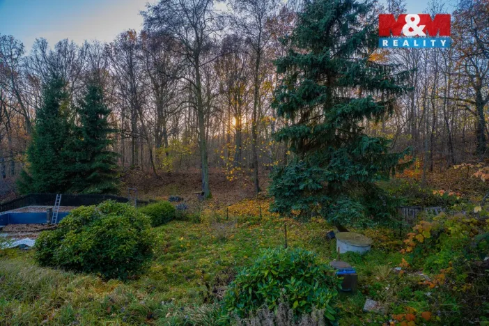 Prodej chaty, Velké Chvojno - Žďár, 45 m2