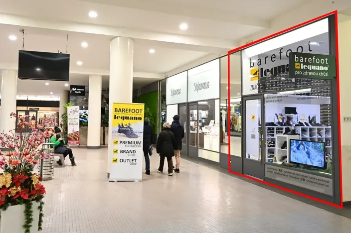 Pronájem obchodního prostoru, Praha - Nové Město, Na příkopě, 29 m2