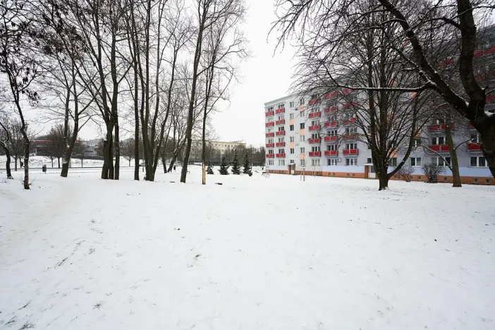 Prodej bytu 1+1, Brno, Svatopluka Čecha, 40 m2