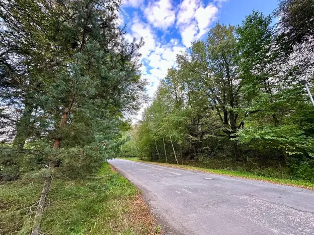 Prodej pozemku pro bydlení, Luštěnice, 9366 m2