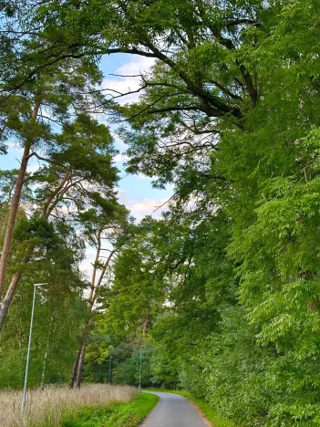 Prodej pozemku pro bydlení, Luštěnice, 9366 m2