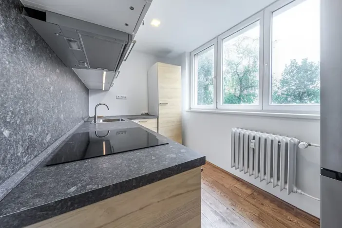 Pronájem bytu 2+1, Ostrava, Mánesova, 55 m2