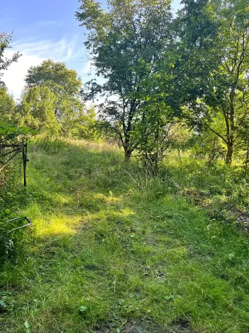 Prodej zahrady, Bludov, 1777 m2