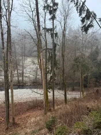 Prodej podílu lesa, Vacov, 23843 m2