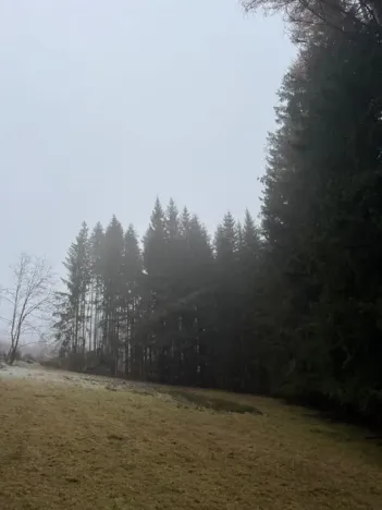 Prodej podílu lesa, Vacov, 23843 m2