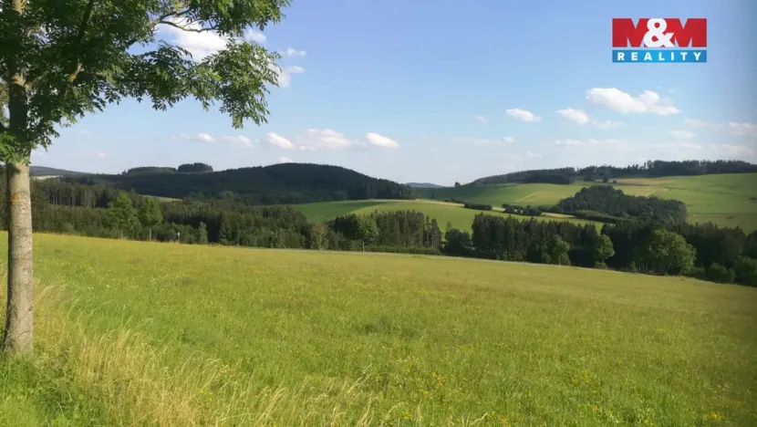 Prodej ubytování, Borušov - Svojanov, 1890 m2