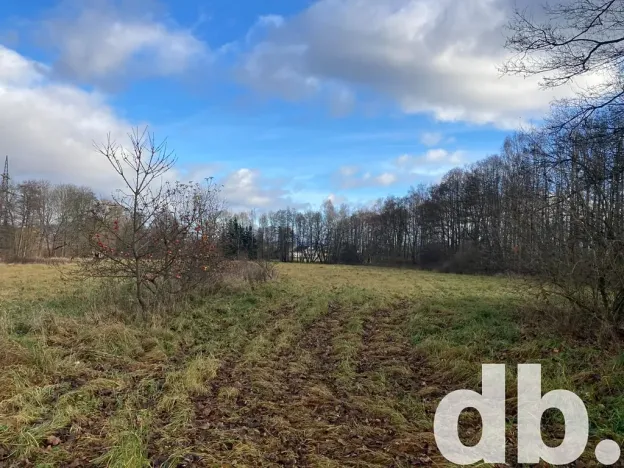 Prodej pole, Ostrov, 22490 m2