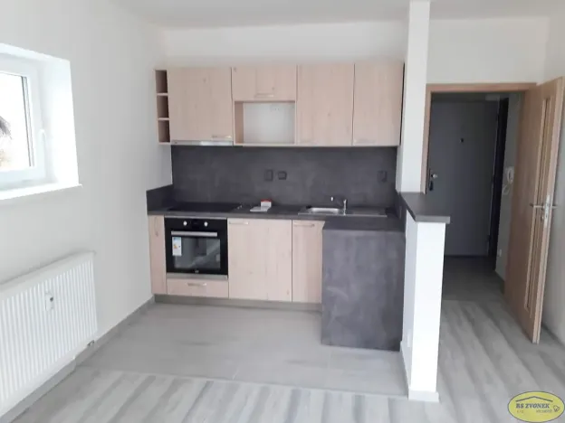 Pronájem bytu 1+kk, Litovel, Severní, 48 m2