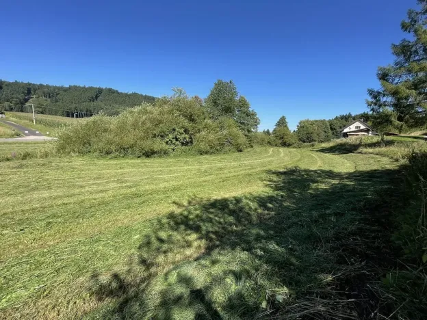 Prodej pozemku, Dolní Dobrouč - Horní Dobrouč, 6634 m2