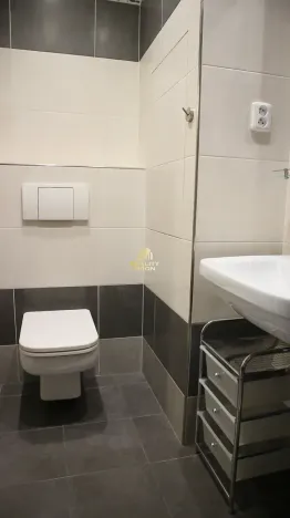 Prodej bytu 2+1, Chomutov, Vrchlického, 55 m2