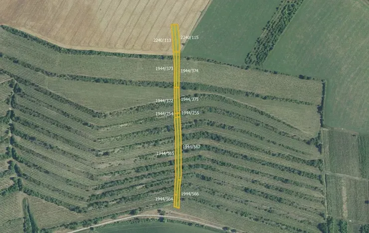 Prodej sadu/vinice, Morkůvky, 4640 m2