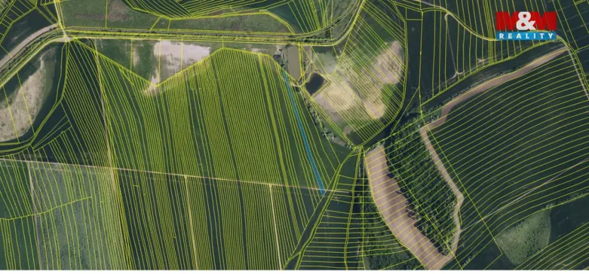 Prodej pole, Dambořice, 12804 m2