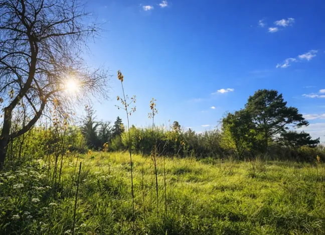 Prodej pozemku, Praha, 475 m2